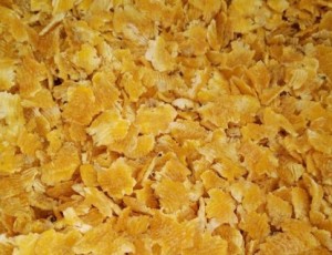 蒸汽玉米压片瘤胃淀粉消化率