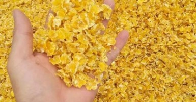 为什么说玉米压片机是饲料玉米片的核心